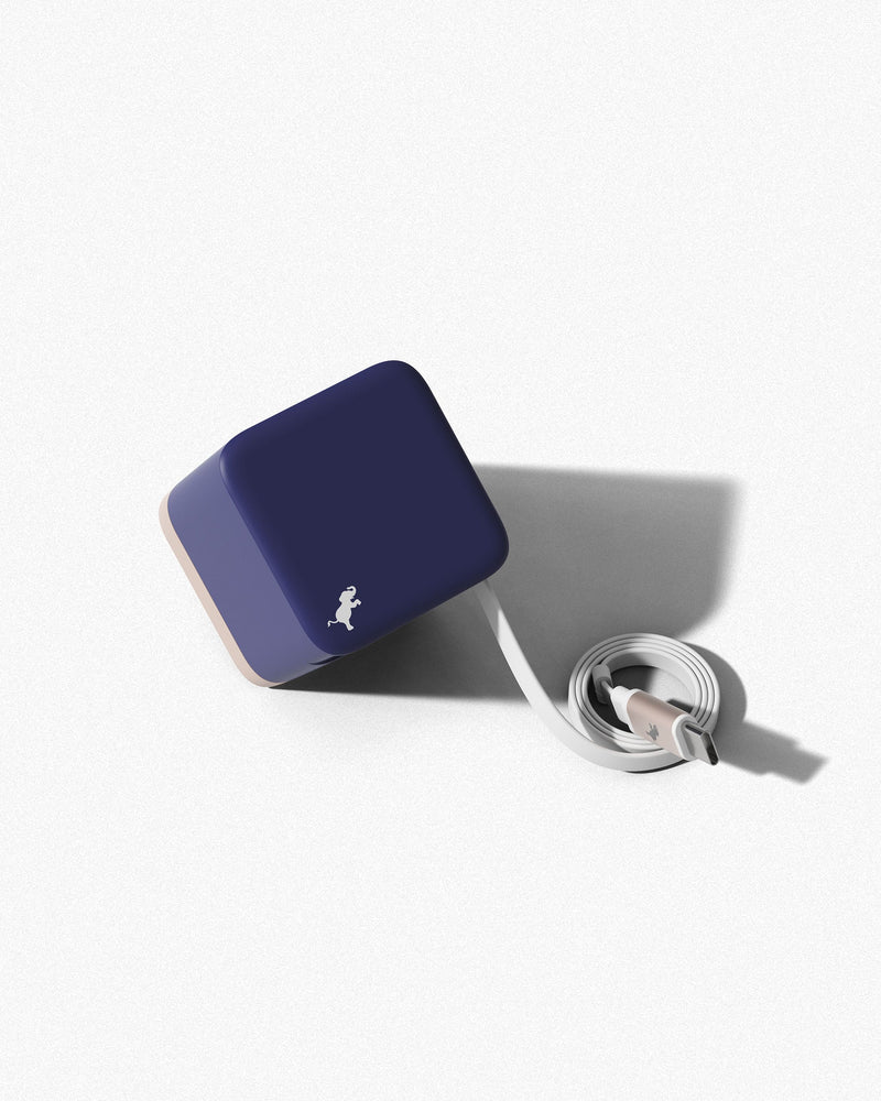 Nimble 65W / Purple WALLY Stretch 65W Wall Charger