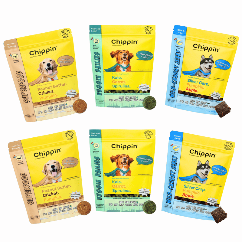 Chippin Allergy-Friendly Dog Treats, 6-Pack