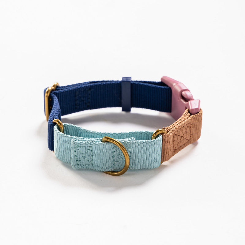 Awoo X-Small / DUSK Marty Dog Collar