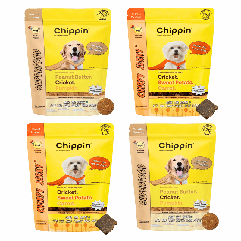 Chippin 4 Pack Gut-Healthy Dog Treat Variety Bundle