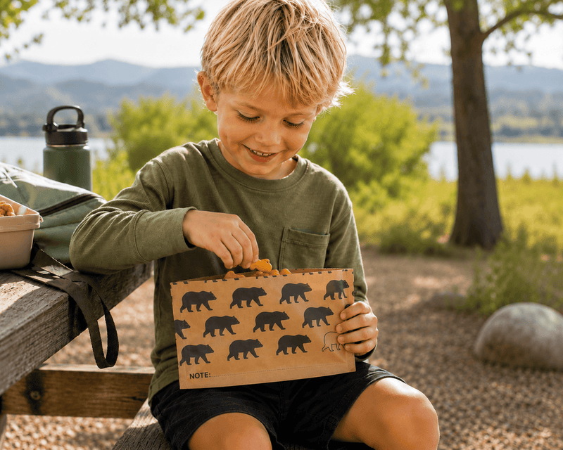 Lunchskins Compostable Paper Snack Bags