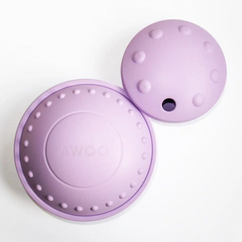 Awoo Small Flying Saucer Toy