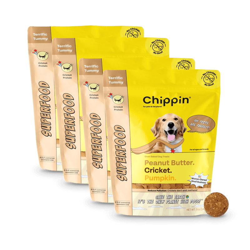 Chippin 4 Pack Superfood Cricket & Pumpkin Dog Treats, 4-Pack