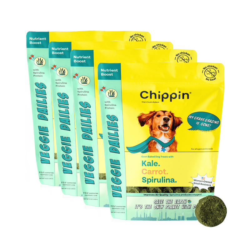 Chippin 4 Pack Veggie Dailies with Spirulina, 4-Pack