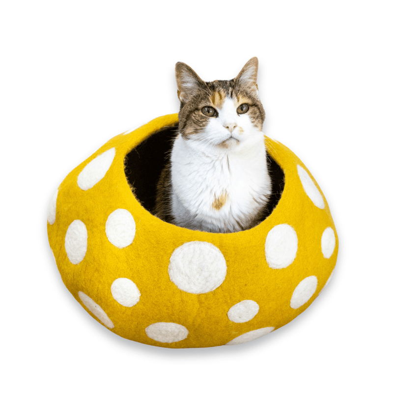 Friendsheep Gold Mushroom Eco Kitty Cave