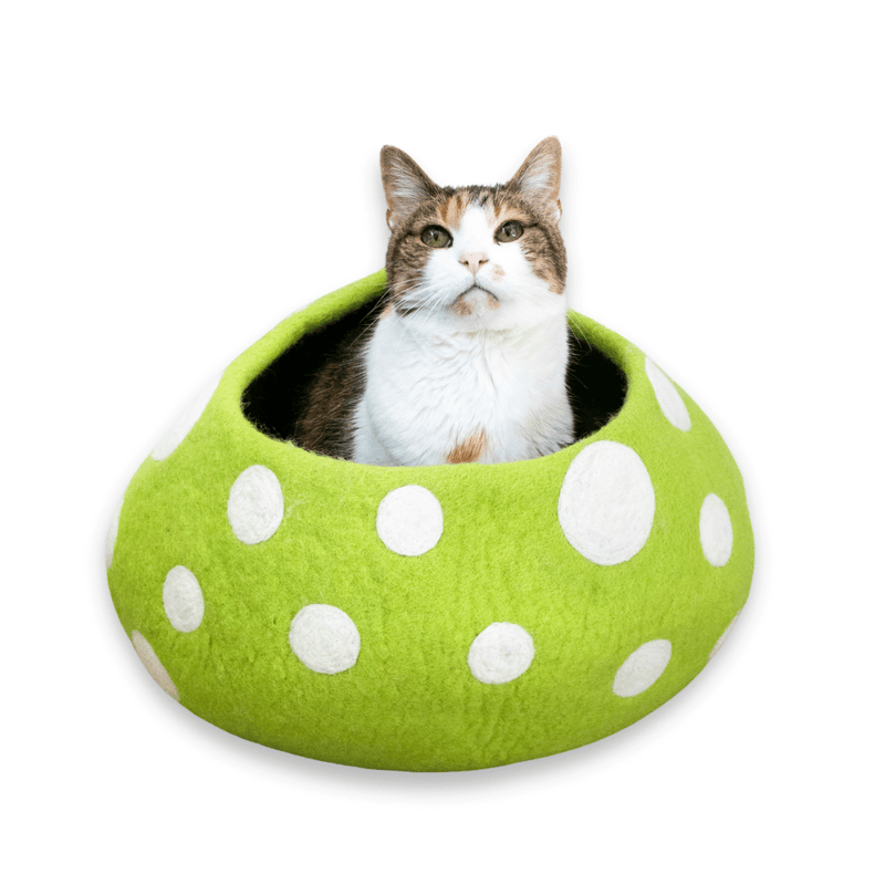 Friendsheep Green Mushroom Eco Kitty Cave
