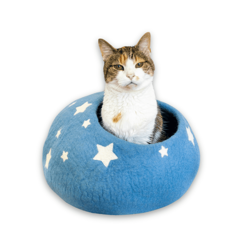 Friendsheep Sky Blue Midnight Stars Eco Kitty Cave