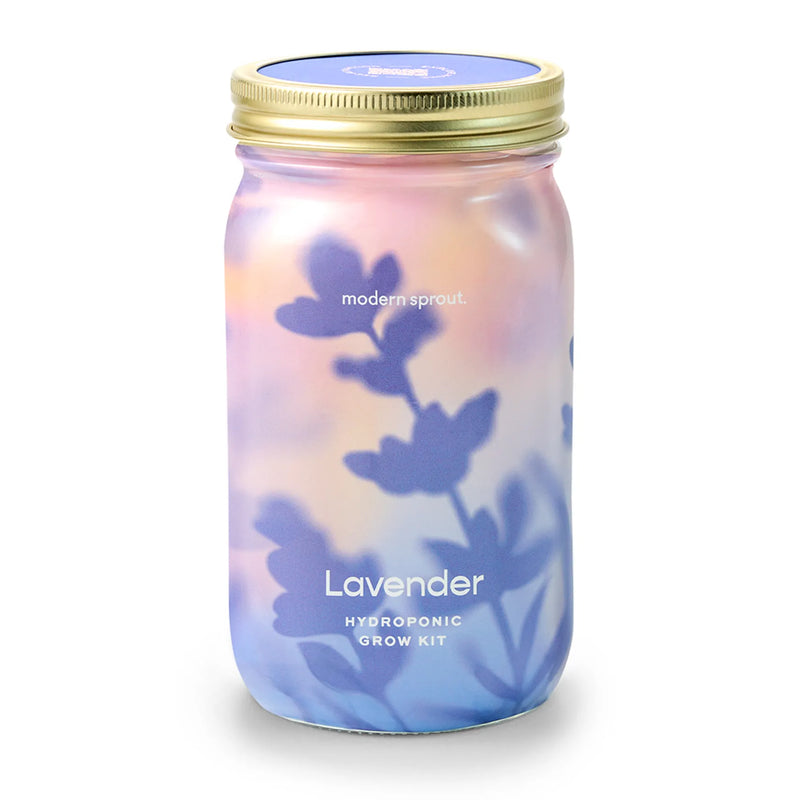 Modern Sprout Lavender Herb Jar and Hydroponic Grow Kit