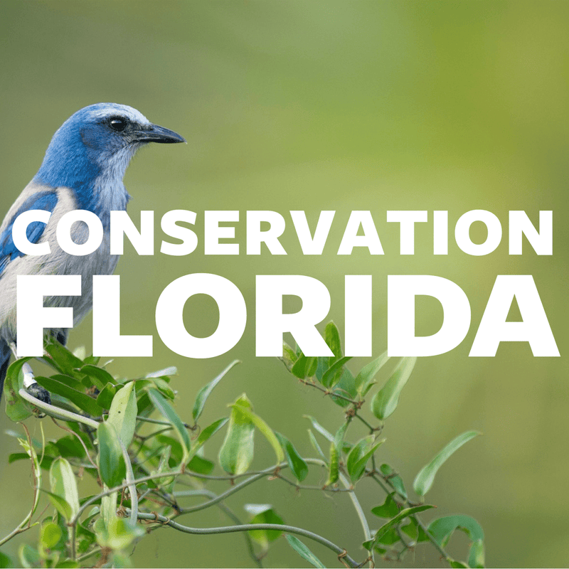 Conservation Florida Donation
