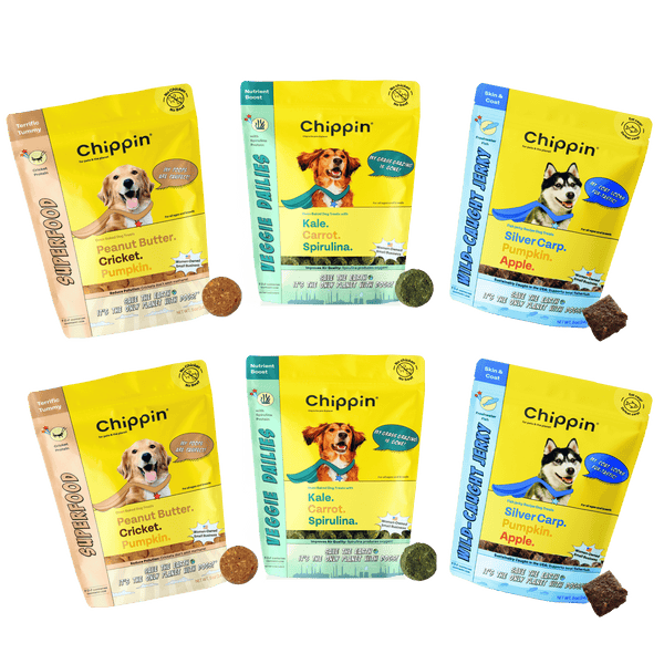 Allergy-Friendly Dog Treats, 6-Pack