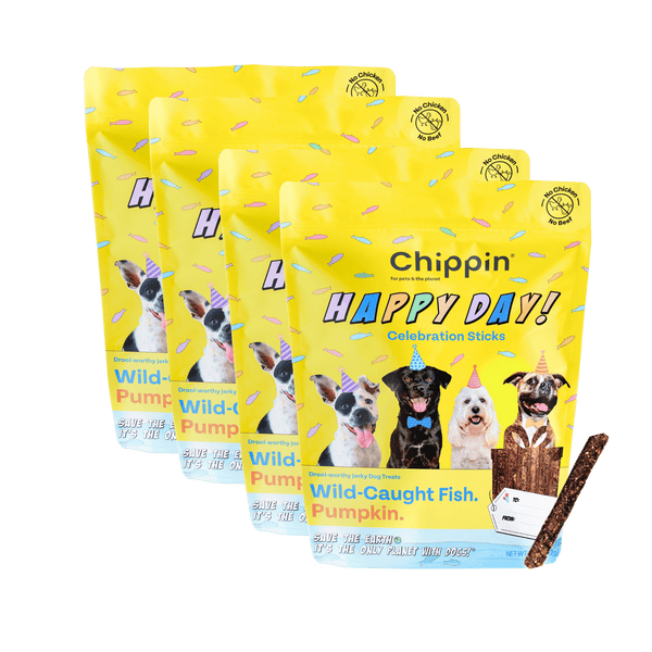 Birthday Dog Treats, 2-Pack