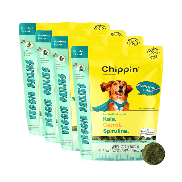 Veggie Dailies with Spirulina, 4-Pack