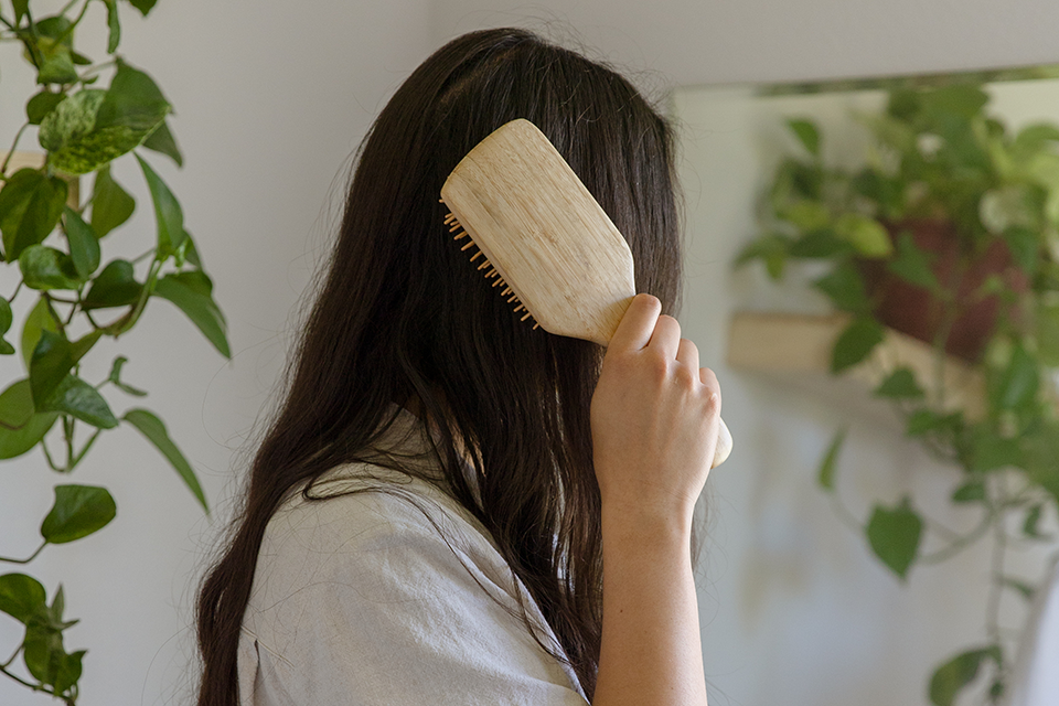 ZWS_Blog_Bamboo_Hairbrush_Feature.png__PID:85dc9dd5-1f9b-404b-b15c-32cb58047611