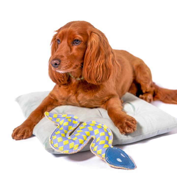 Awoo Canvas Sidewinder Dog Toy