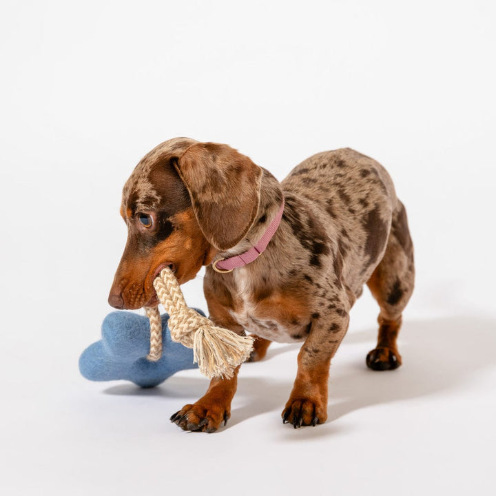 Awoo Comet's Tail Felt Toy