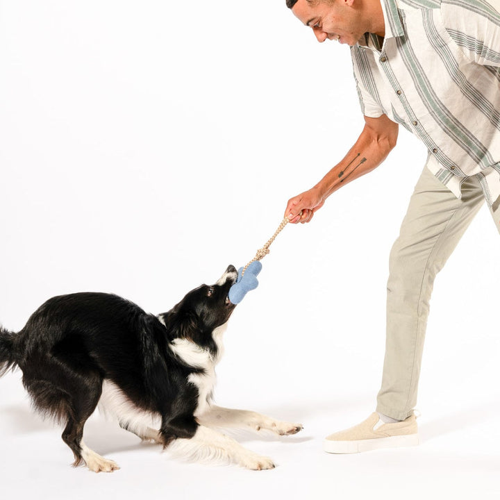 Awoo Comet's Tail Felt Toy