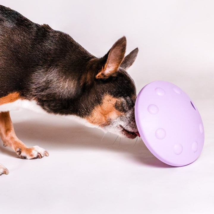 Awoo Flying Saucer Toy