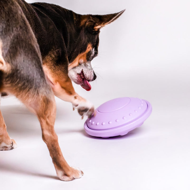 Awoo Flying Saucer Toy