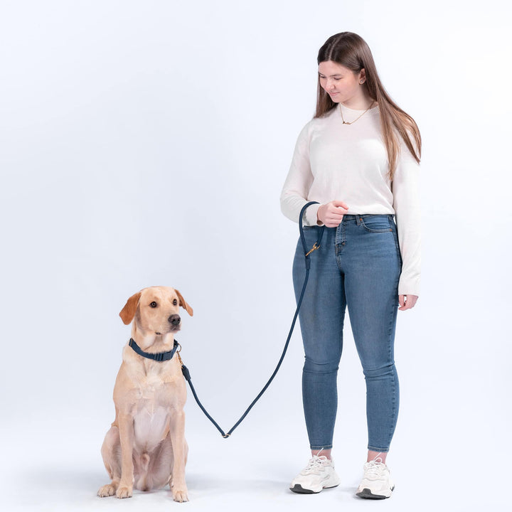 Awoo Pets City Dog Leash