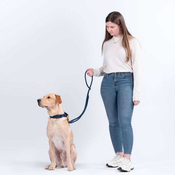 Awoo Pets City Dog Leash