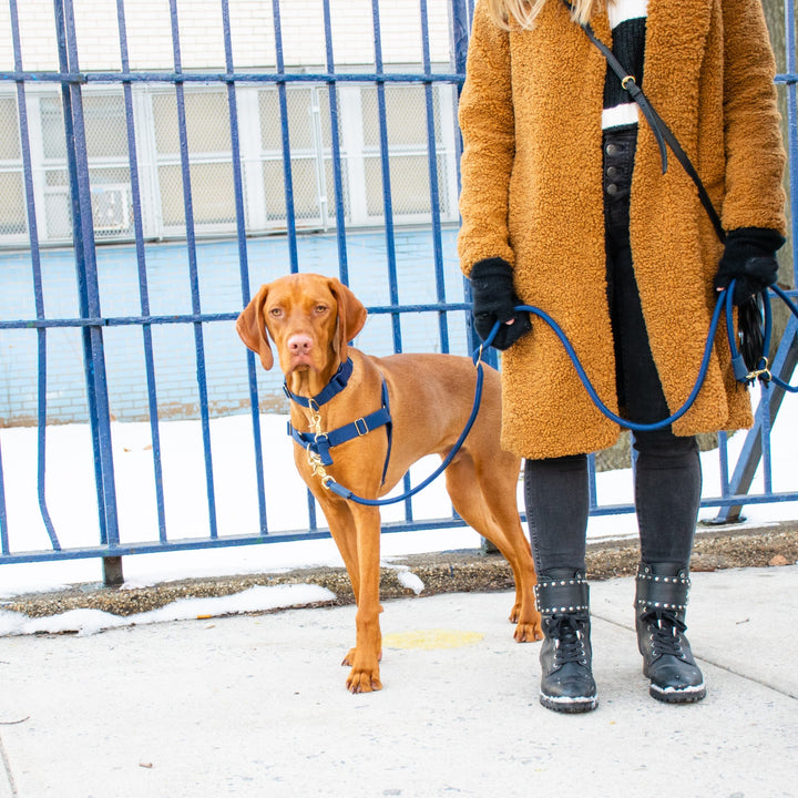 Awoo Pets Dog Walking Safety Strap