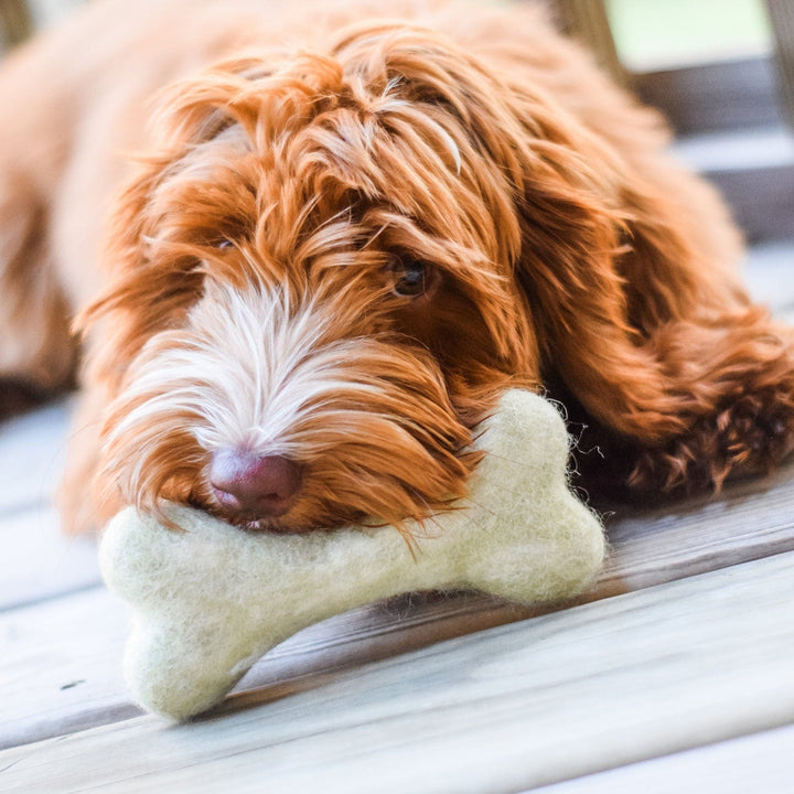 Awoo Pets Handcrafted Felt Bone Dog Toy