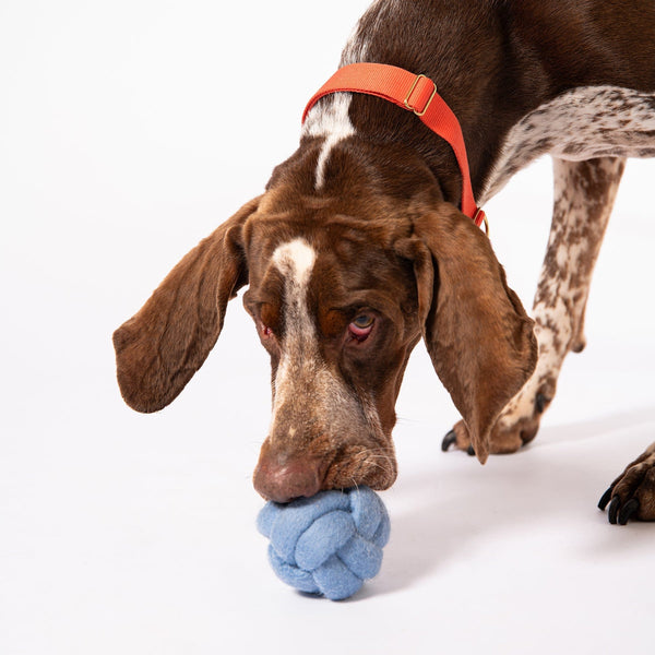 Awoo Pets Knot Felt Puzzle Dog Toy