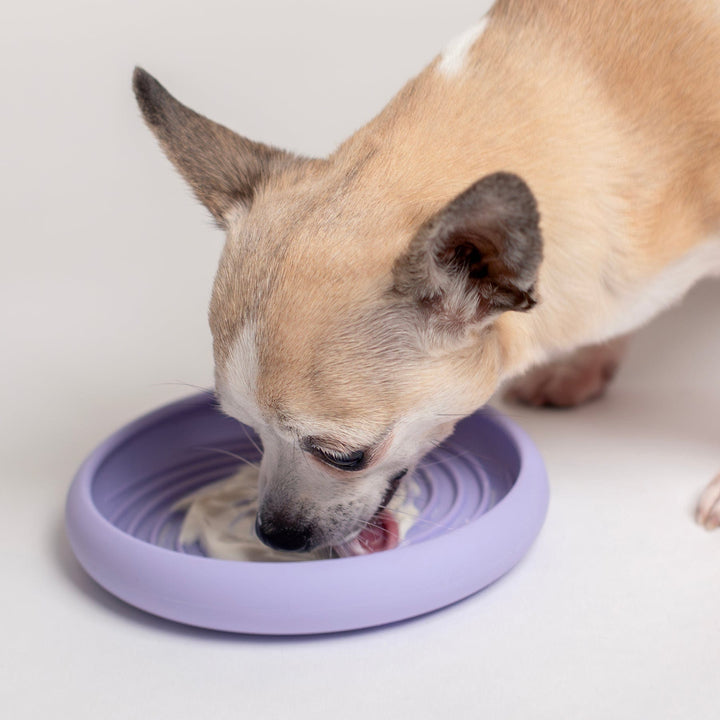 Awoo Pets Lick Dish Slow Feeder For Dogs