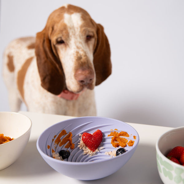 Awoo Pets PERI Wobbowl Lick & Slow Feeder Bowl For Dogs