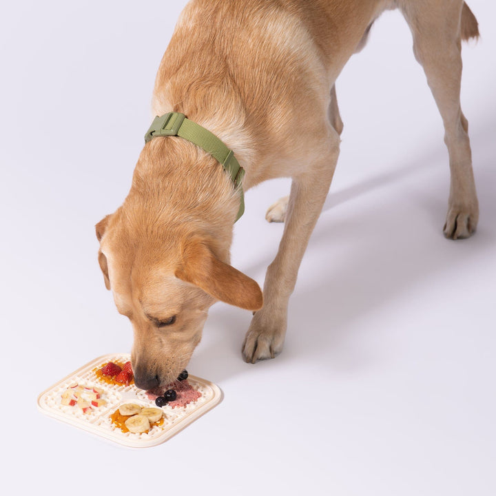 Awoo Pets Smoosh Lick Mat For Dogs