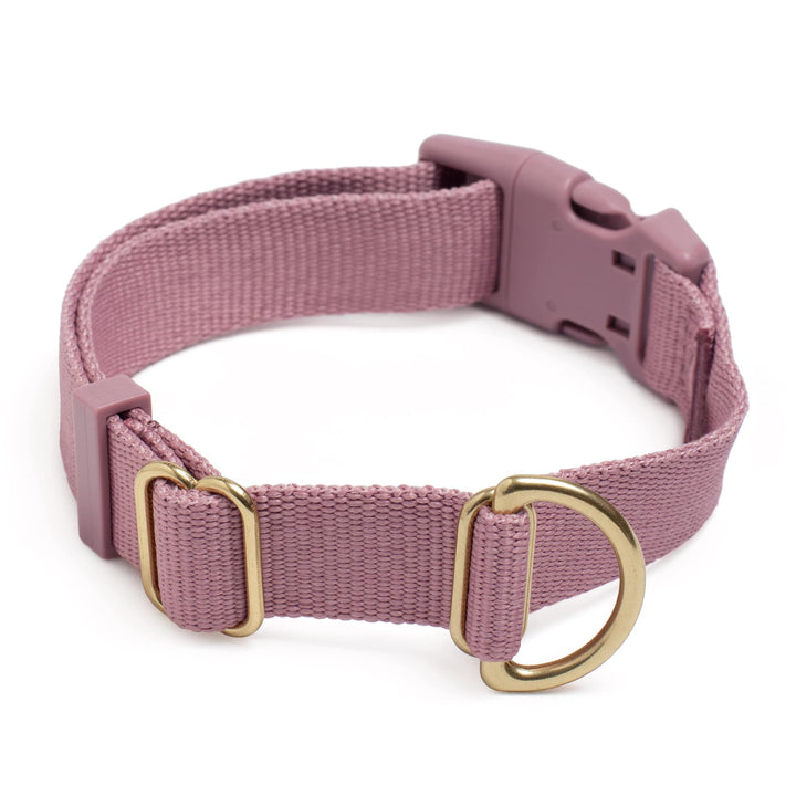 Awoo Small / MAUVE Pack Collar