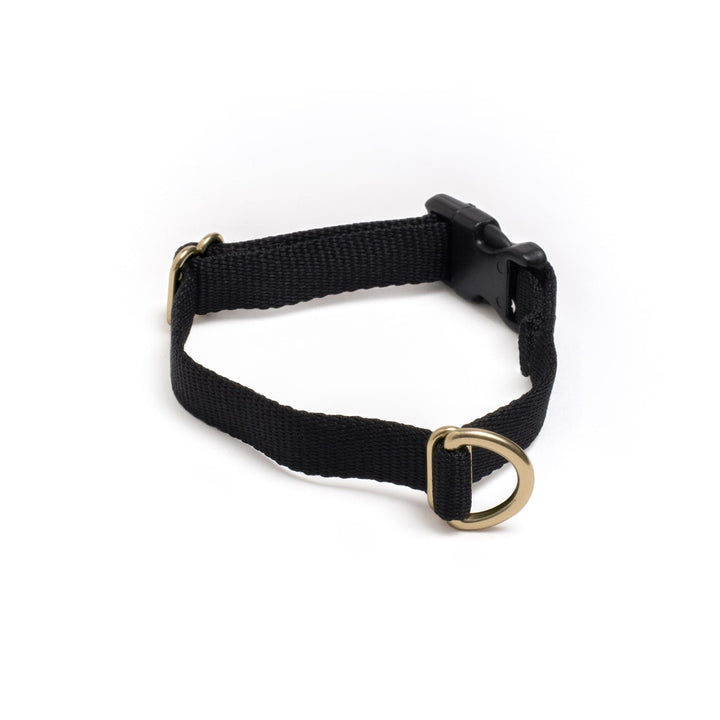 Awoo X-Small / BLACK Pack Collar