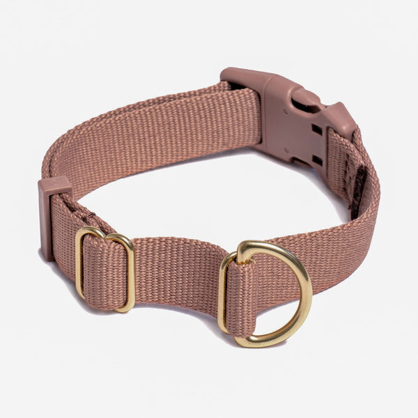 Awoo X-Small / MOCHA Pack Collar