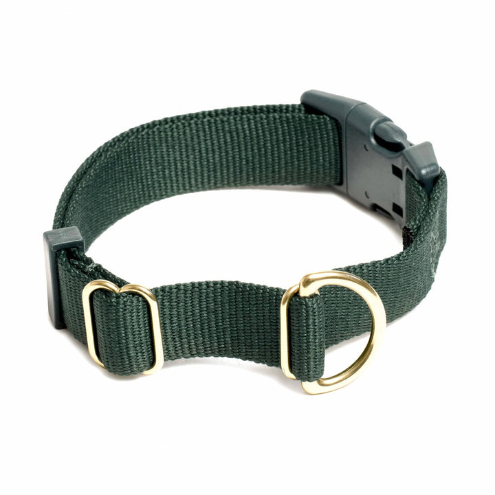 Awoo X-Small / PINE Pack Collar