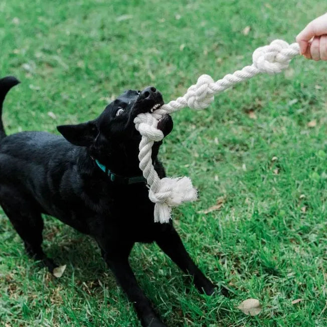 Dog Rpe Organic Cotton Dog Rope Toy 1