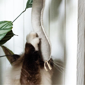 Boba & Vespa Snake Catnip Cat Toy