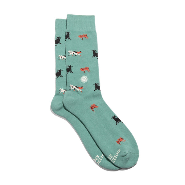 Conscious Step Socks that Save Cats