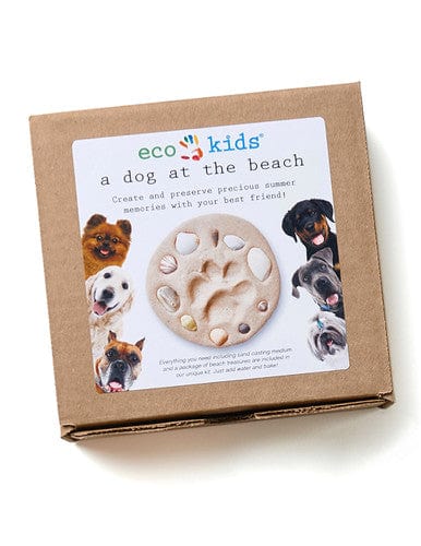 eco-kids eco-dough (3 pk)