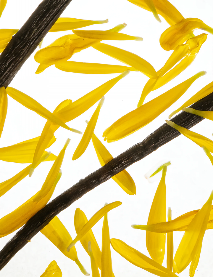 Esas Beauty NEW & OPTIMIZED || Fearless Fragrance