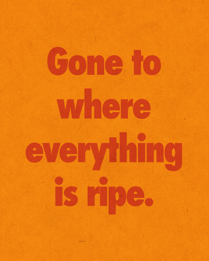 Esas Beauty Paradis Fragrance