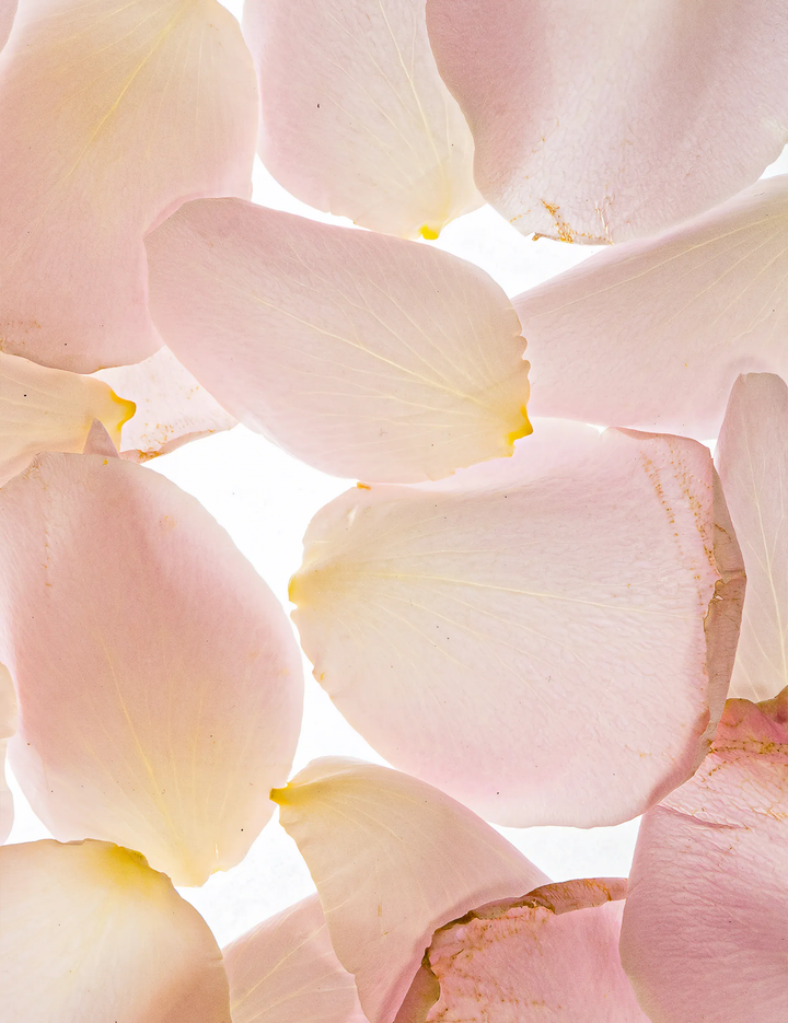 Esas Beauty Rosewood Hamam Deo Body Spray