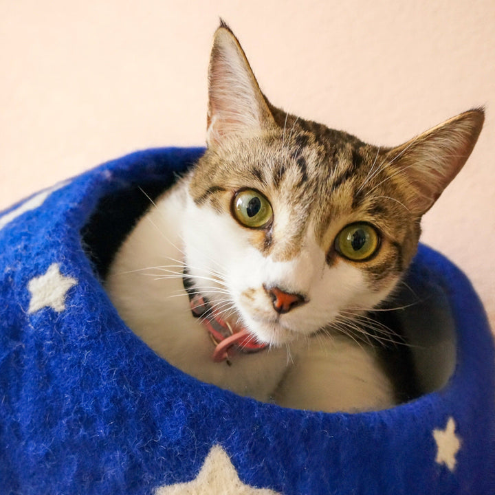 Friendsheep Midnight Stars Eco Kitty Cave