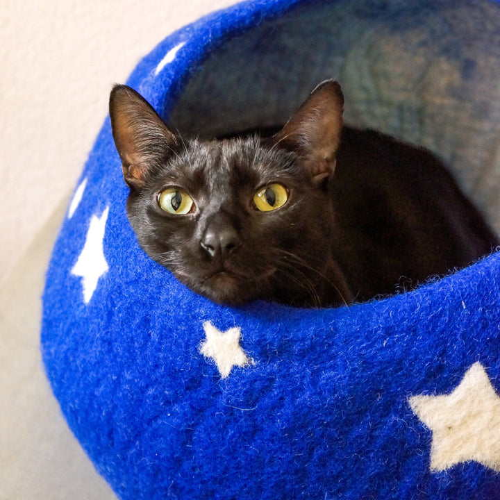 Friendsheep Midnight Stars Eco Kitty Cave