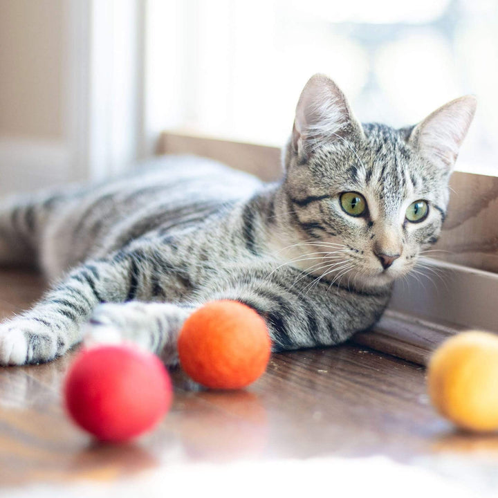 Friendsheep orange Eco Toy Balls "Orange Crush" - Set of 6