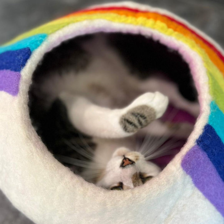 Friendsheep Rainbow Eco Kitty Cave