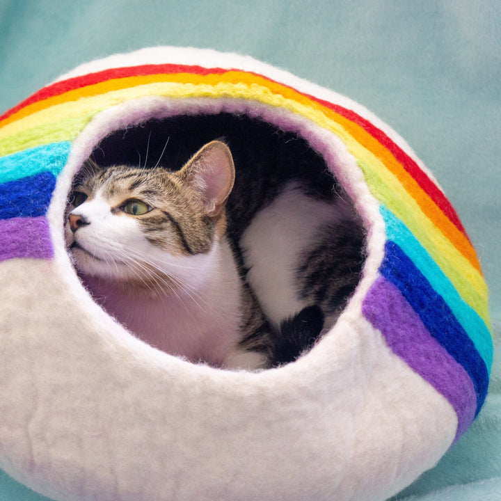 Friendsheep Rainbow Eco Kitty Cave
