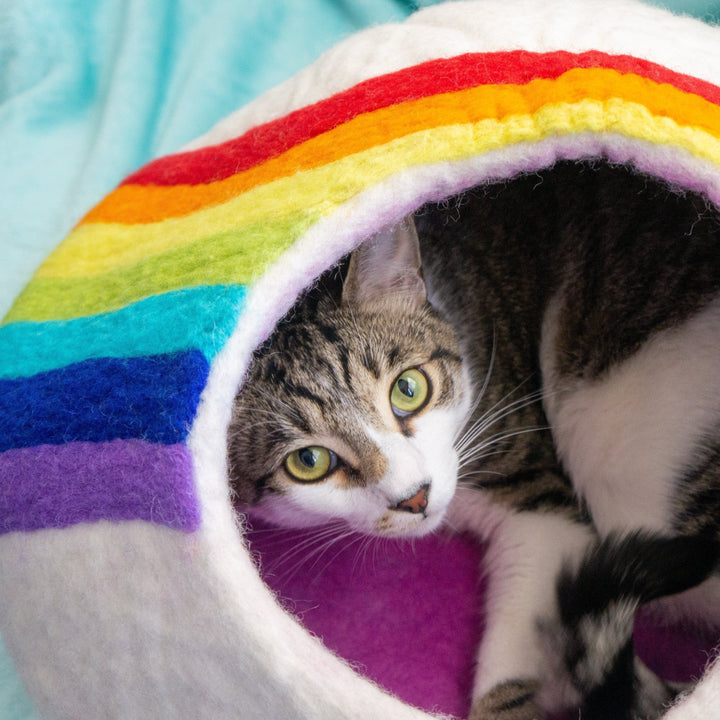 Friendsheep Rainbow Eco Kitty Cave