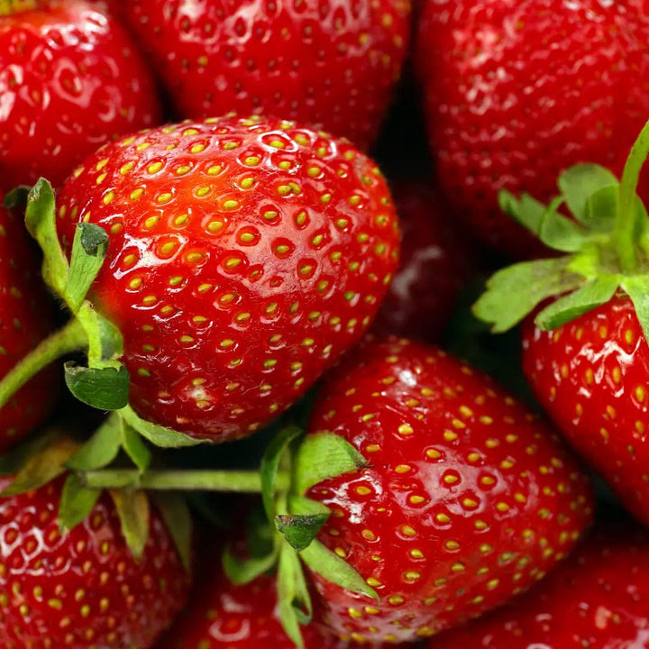 Live Like You Green It Face Oil for Dry, Sensitive, & Aging Skin - Vegan Face Oil, All Natural