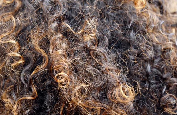 Live Like You Green It Hair Oil All Natural Aloe Vera Hair and Body Oil