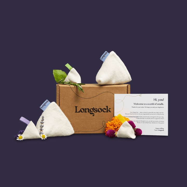 Longsock Essentials Scent Training Kit for Dogs